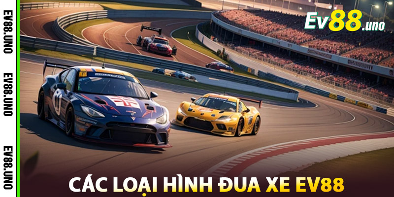 Các Loại Hình Đua Xe EV88