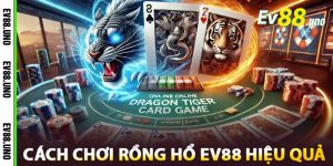 Cách Chơi Rồng Hổ EV88 Hiệu Quả