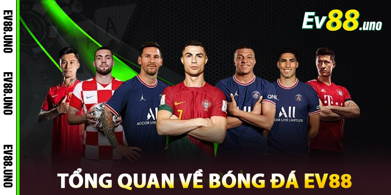 Tổng Quan Về Bóng Đá EV88